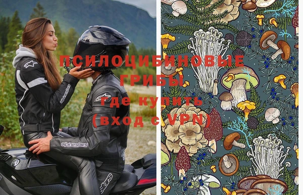 дмт Алексеевка